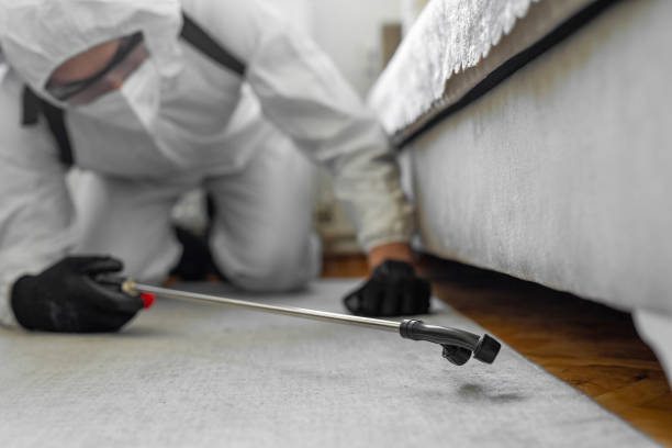 Professional Termite Control technician working in Albion, IL