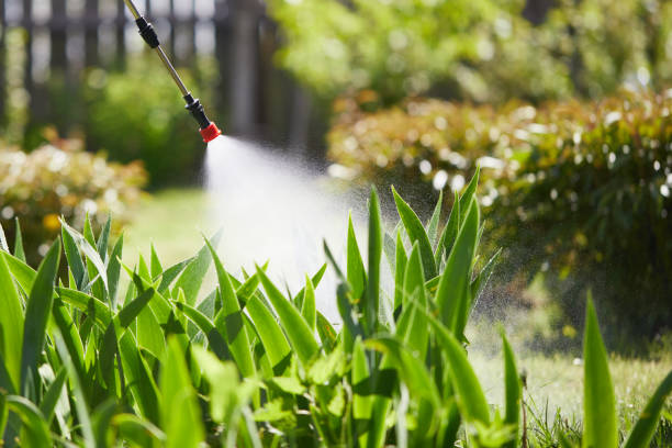 24/7 Emergency Termite Control experts in Albion, IL