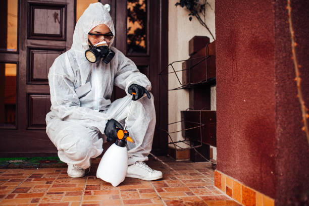 Reliable Termite Control contractor in Albion, IL by Nex Pest Control